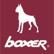 boxer